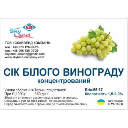 Концентрированный сок белого винограда, бочка (200л/250кг) Концентрированный сок белого винограда, бочка (200л/250кг)